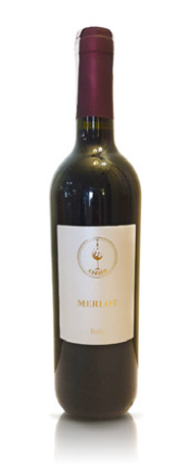 Wino